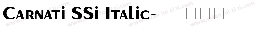Carnati SSi Italic字体转换